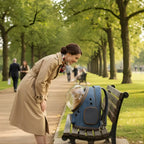 PawVoyage Pet Carrier Backpack