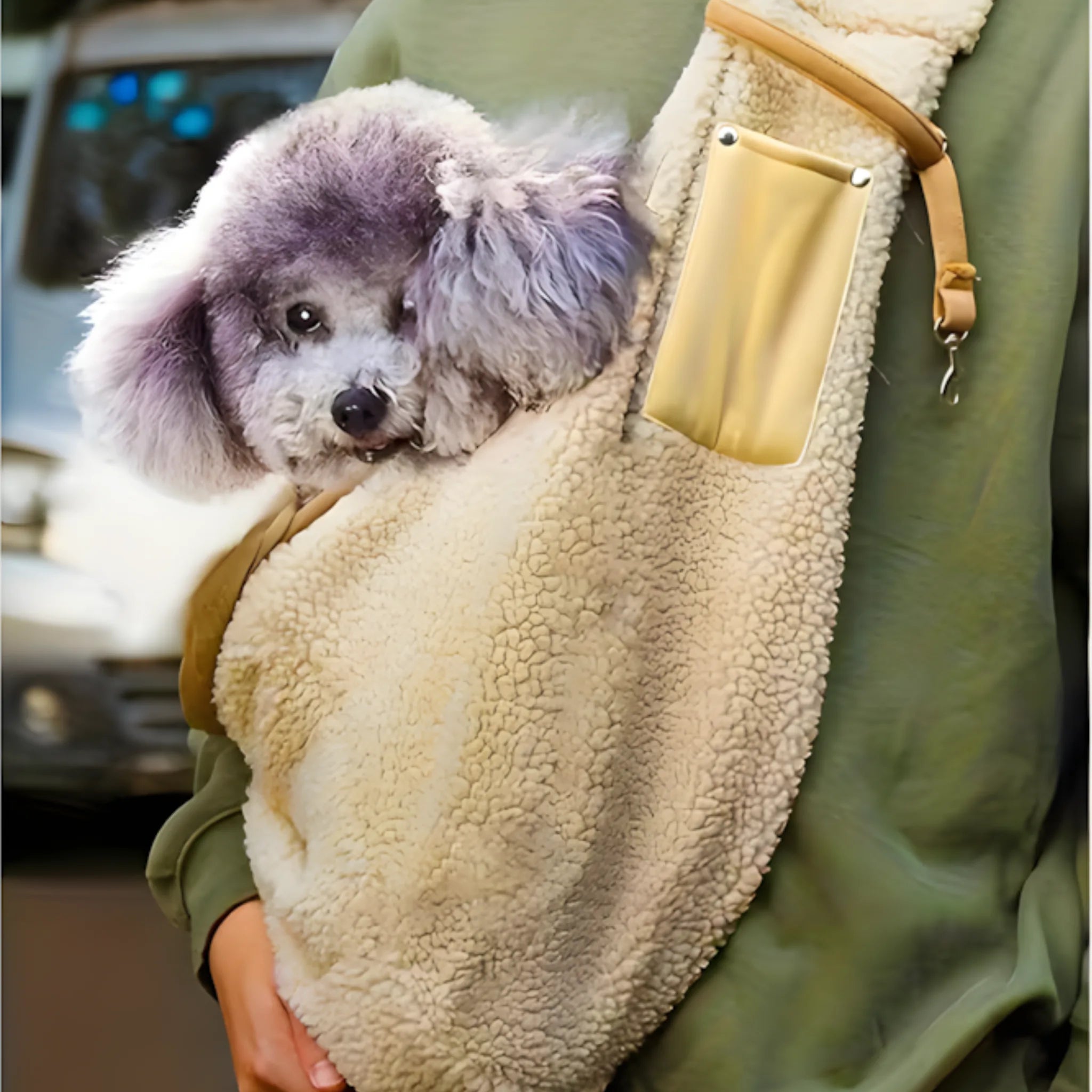 PawVoyage Sling Pet Carrier