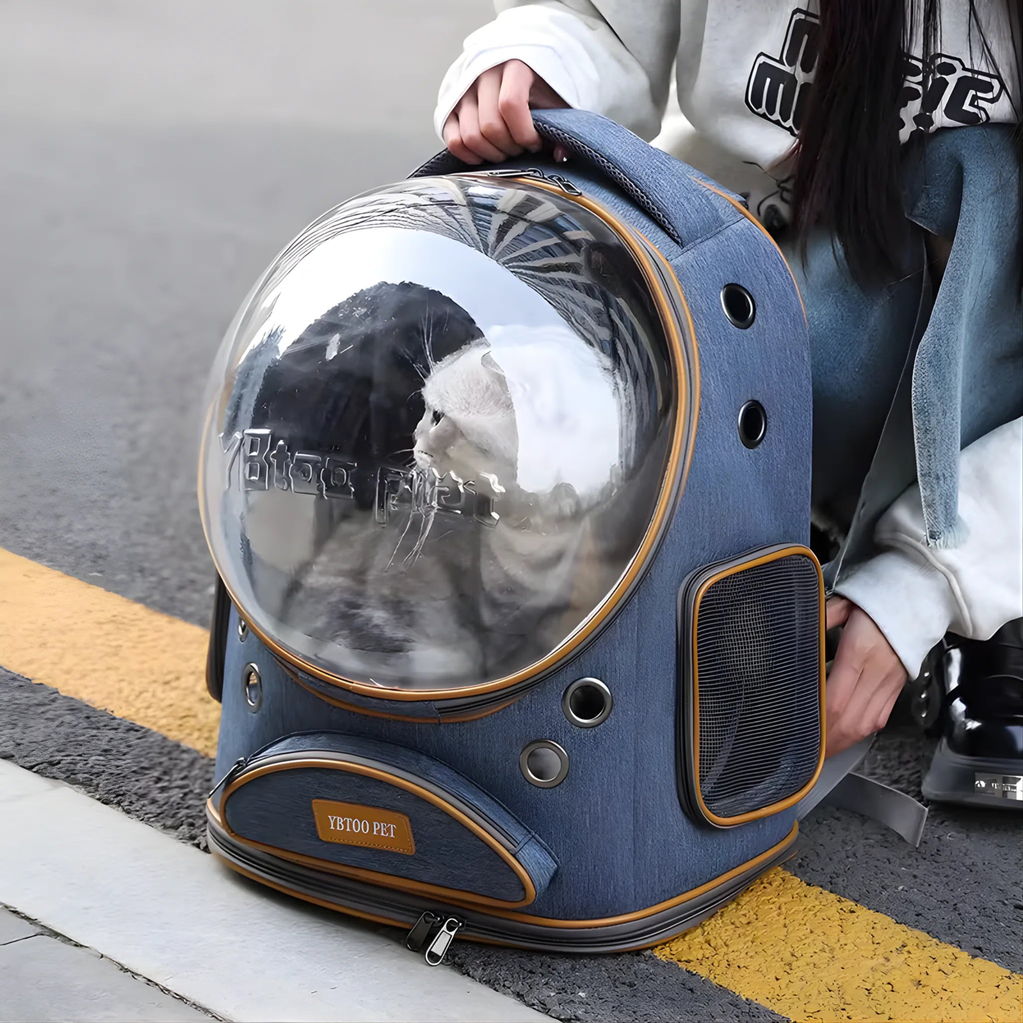 PawVoyage Pet Carrier Backpack