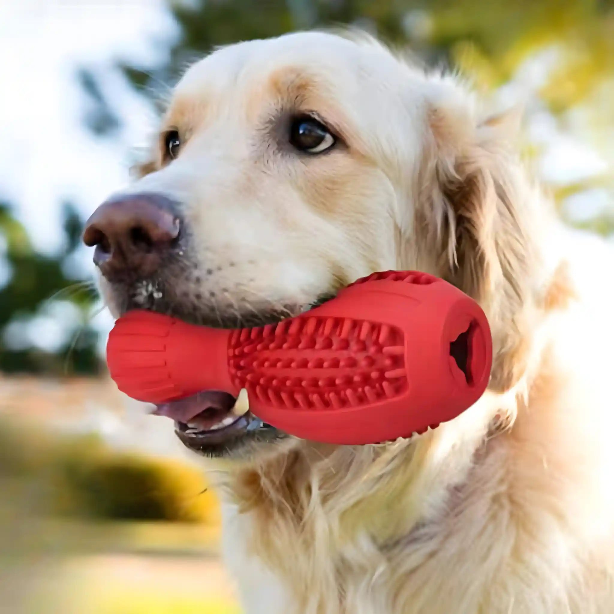 ChewCalm Slow Feeder Dog Toy