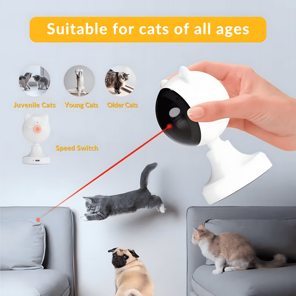 LaserChase Cat Toy